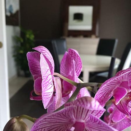 Apartament Nano House Bègles Zewnętrze zdjęcie