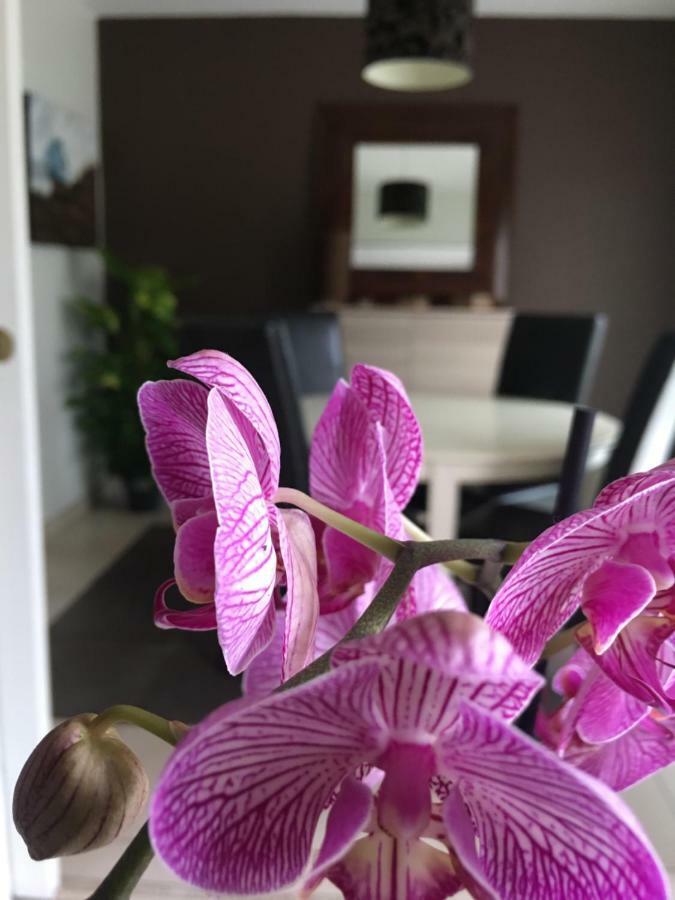 Apartament Nano House Bègles Zewnętrze zdjęcie